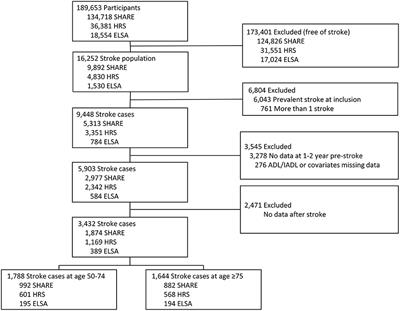 Pre-stroke Disability and Long-Term Functional Limitations in Stroke Survivors: Findings From More of 12 Years of Follow-Up Across Three International Surveys of Aging